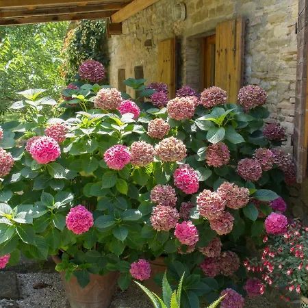 Casa La Valle, Gubbio, Frazione Santa Cristina Oda ve Kahvaltı